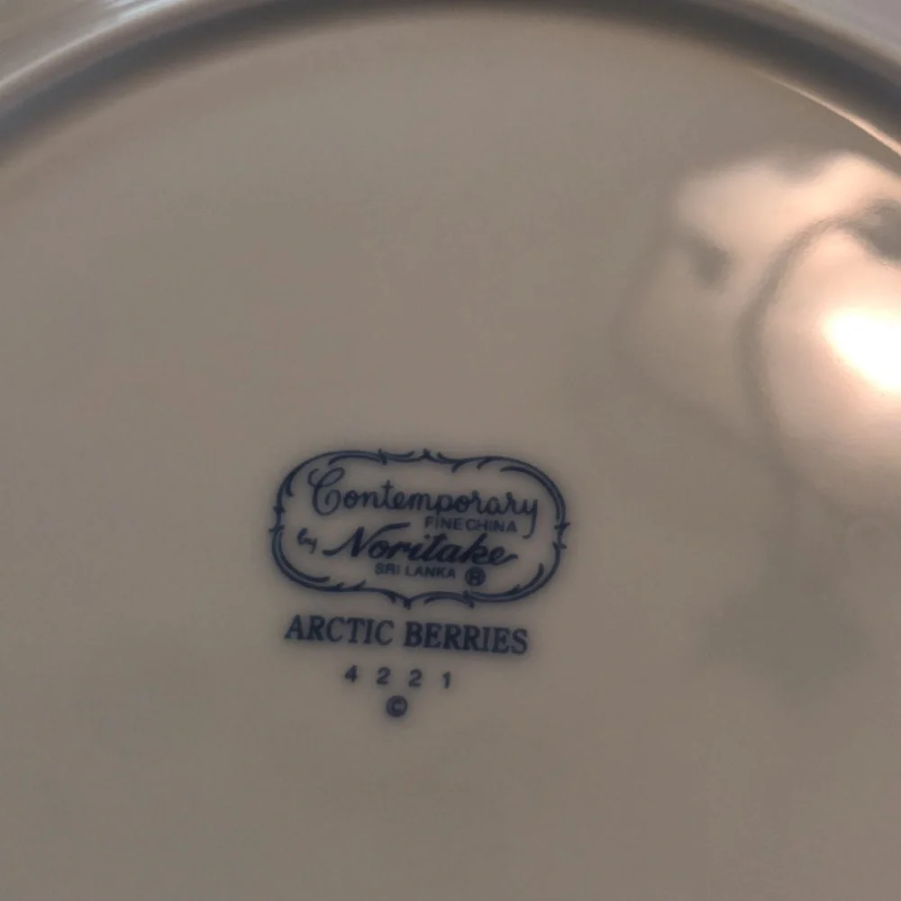 Six (6) Noritake Arctic Berries Salad Plates